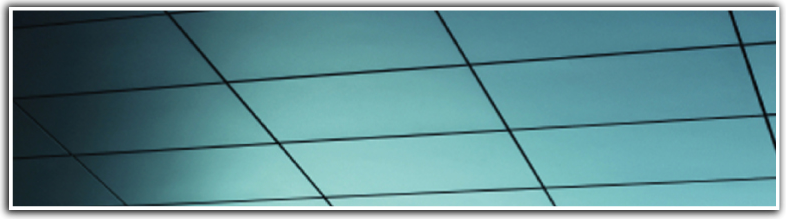 Civic Organizations